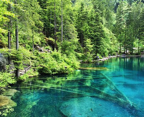 See Why Lake Blausee Is Stunning During All Seasons