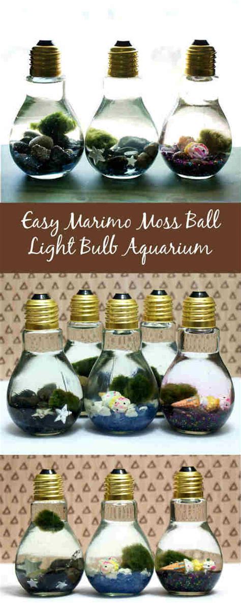 Easy Marimo Moss Ball Diy Light Bulb Aquarium Iseeidoimake