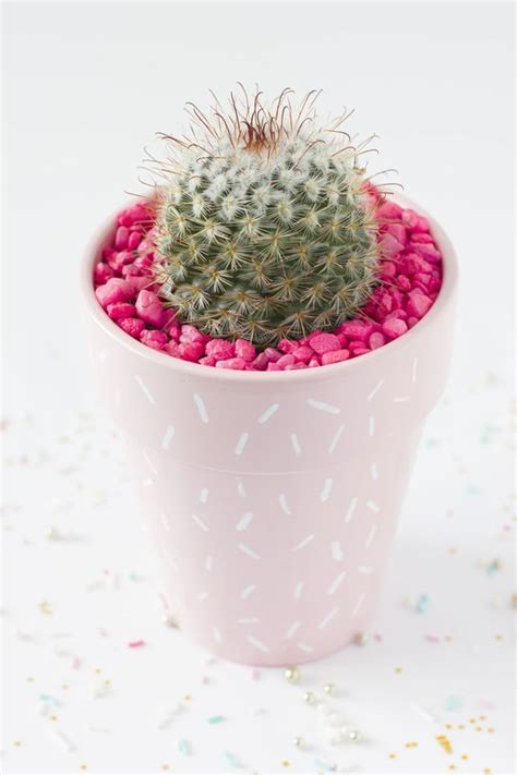 Diy Pink Cactus Planter Diy Sprinkles Cactus Diy Cactus Planter