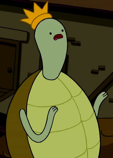 Mr Turtle Adventure Time Wiki Fandom Powered By Wikia