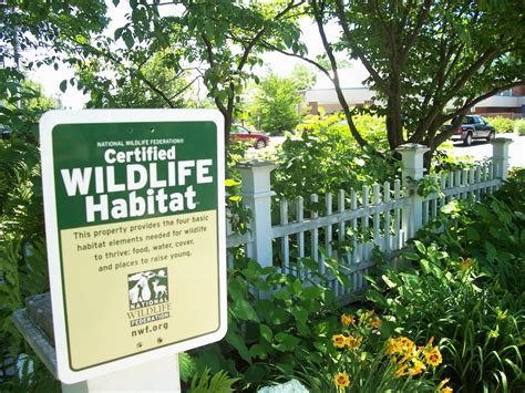 Museum Becomes A Certified Wildlife Habitat Liberty Hyde Bailey Museum