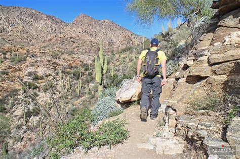 Sabino Canyon Trail 23 American Expeditioners