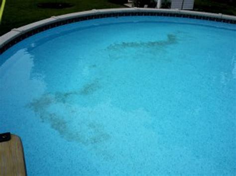 Pool Stains Identify Your Pool Discoloration Premier Pools Spas
