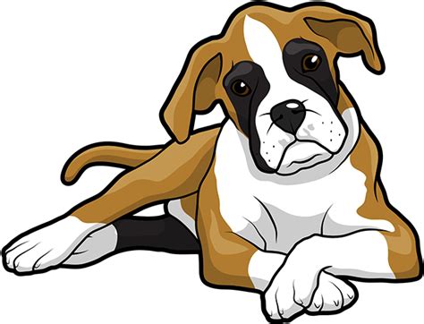 Boxer Dog Sitting Clipart Png Png Mart