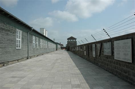 Девочка — узница хорватского концлагеря ясеновац. Hakenkruisen geklad op muur concentratiekamp Mauthausen ...