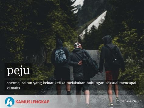 Arti Kata Peju Dalam Kamus Bahasa Gaul Indonesia Indonesian Slang Word Dictionary Kamus