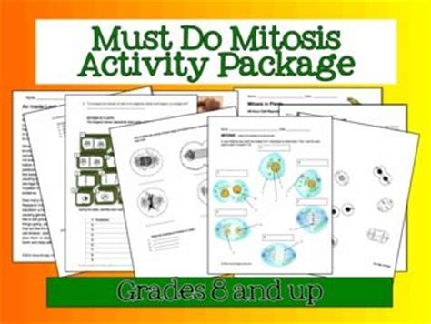During cell division in apical meristem, the nuclear membrane appears in. Mitosis | Activities, Comprehension and The o'jays