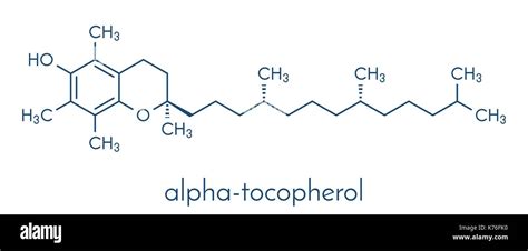 Vitamin E Alpha Tocopherol Molekül Skelettmuskulatur Formel Stock