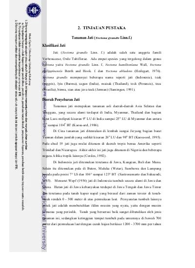 Tinjauan Pustaka Tanaman Jati Tectona Grandis Linn F