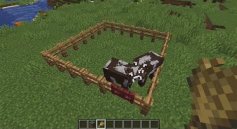 How To Make A Cow Farm In Minecraft In 2022 Easiest Method Beebom
