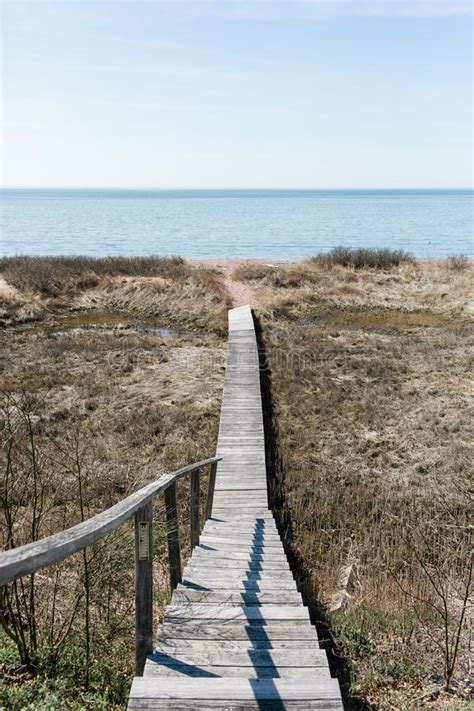 Wooden Steps That Leads Out To The Beach Stock Photo Image Of Rickety