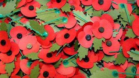 Remembrance Day Why Do People Wear Poppies Bbc Newsround