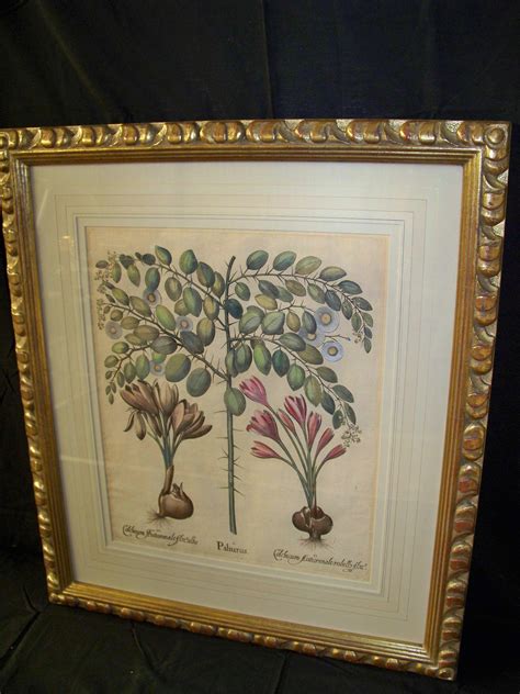 Lot Framed Botanical Print
