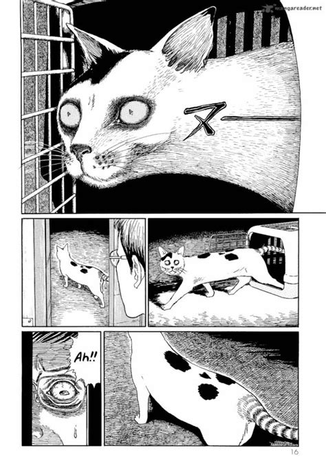 Cat Diary Junji Ito Read Online Cat Meme Stock Pictures And Photos
