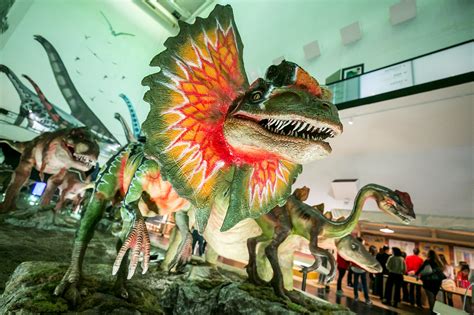Actualizar Imagem Exposi O De Dinossauros Em Lisboa Br