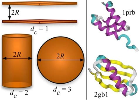Confinement Geometries And Protein Structures Left Schematic