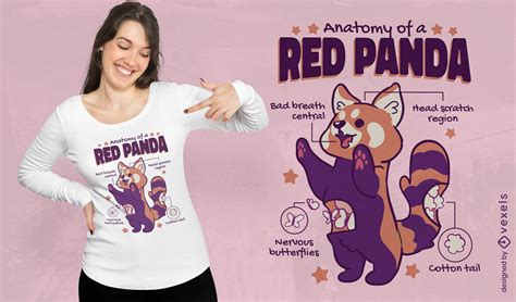 Red Panda Anatomy T Shirt Design Vector Download