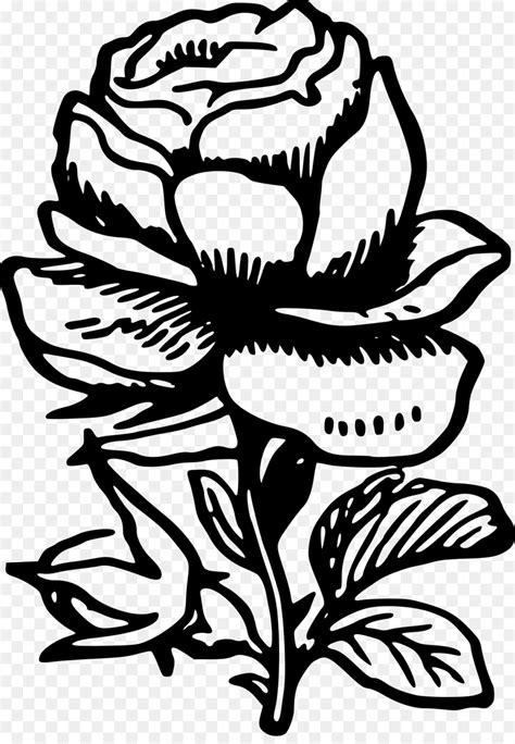 Bunga line art kartun clip art bunga gambar png. 900 Gambar Bunga Mawar Line Art Paling Keren - Gambar ID