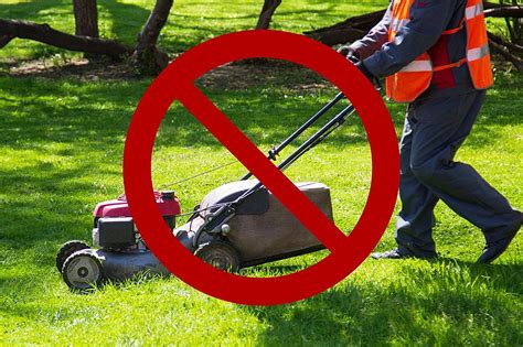 Why Are These Major Mi Cities Not Mowing Their Lawns This Month