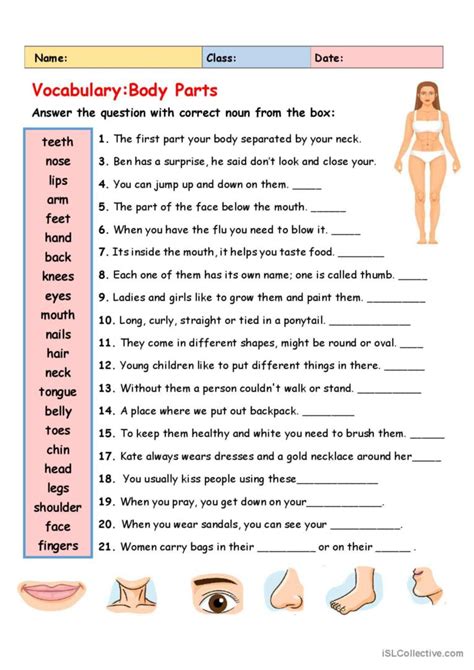 Vocabulary Body Parts English Esl Worksheets Pdf And Doc