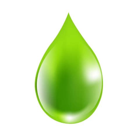 Green Drop — Stock Vector © Kednert 4507795