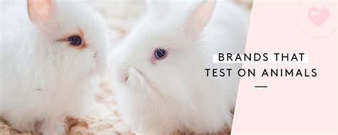 Montauciel apparently kicked the rooster before the balloon took off, the big bully. Companies That Test On Animals — 2019 - Cruelty-Free Kitty
