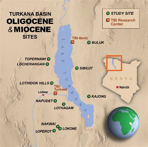 Turkana Miocene Project Explores Climate Change Impact On Evolution