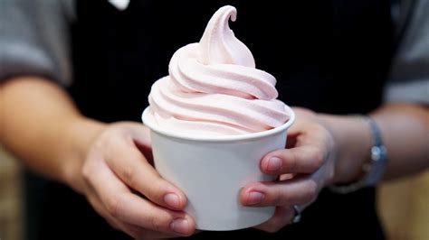 25 Best Frozen Yogurt Shops You Can Find In America