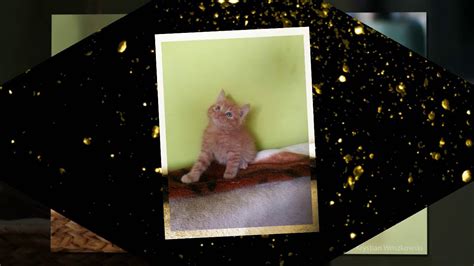 (w latach przestępnych 173.) dniem w kalendarzu gregoriańskim. 21 czerwca 2018 - YouTube