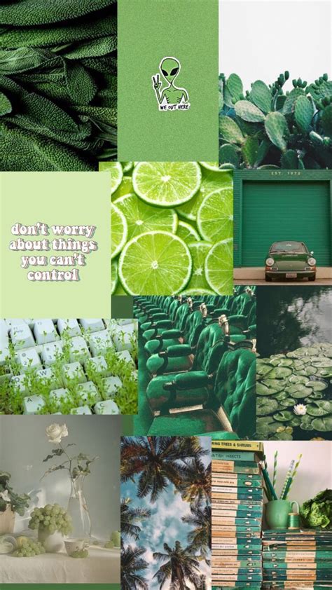 Aesthetic Green Things Wallpapers Wallpaper Cave
