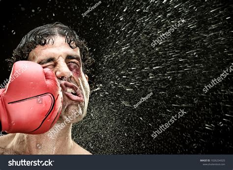 282 576 imágenes de boxer imágenes fotos y vectores de stock shutterstock