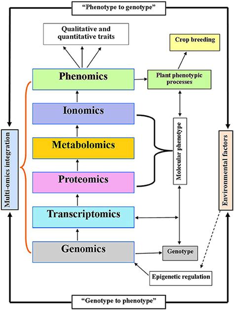 Frontiers Applications Of Multi Omics Technologies For Crop Improvement