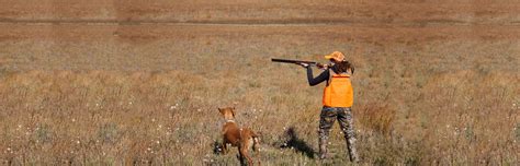 Pheasant Quota Hunts Kentucky Department Of Fish And Wildlife