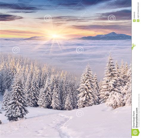 Colorful Winter Morning In Mountains Stock Photos Image