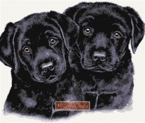 Wholesale distributor for counted cross stitch patterns, cross stitch supplies, and needlework supplies. Black labrador puppies cross stitch kit | Black labrador ...