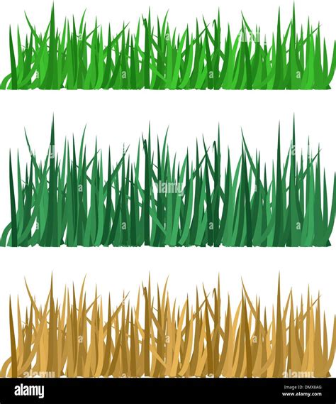 Yellow Grass Field Stock Vector Images Alamy