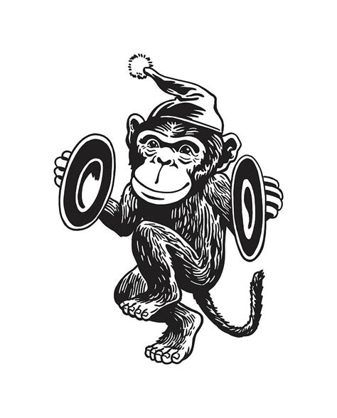 Monkey With Symbols Ph
