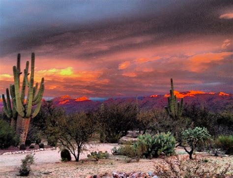 The subreddit for tucson, arizona; Cycling and Triathlon Winter Camps - Tucson, AZ - Cycling ...