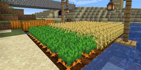 5 Best Places To Grow Crops In Minecraft 118