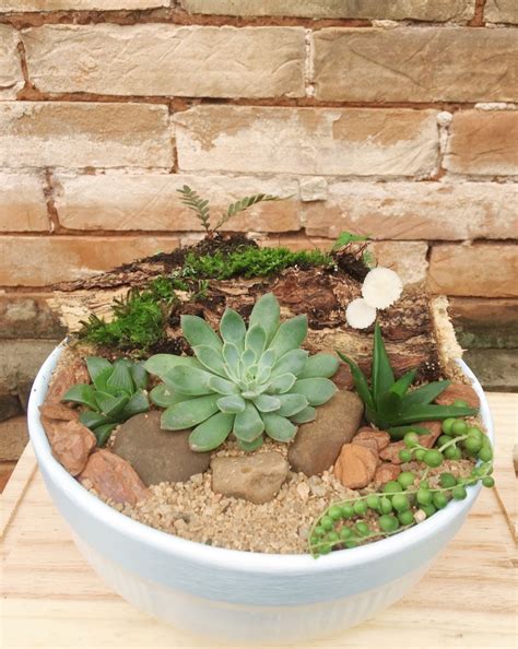 Succulent Planters Succulents Planter Arrangements Garden Pots