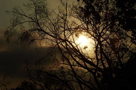 Hintergrundbilder Sonnenlicht Wald Sonnenuntergang Nacht Natur