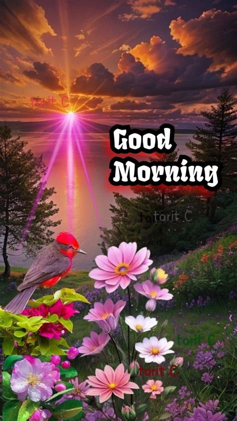 Pin By Gopesh Avasthi On Morning In 2024 Good Morning Nature Good Morning Flowers Good