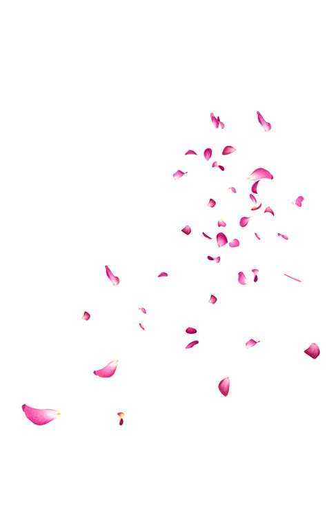 Petals PNG Images Transparent Free Download | PNGMart.com Seeking more png image pink rose petals png,falling rain png,sakura petals png?