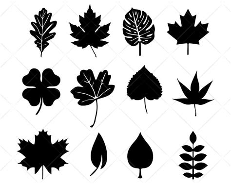 Download Leaf Collection SVG Cut Files | Scotties Designs
