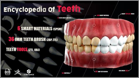 Teeth imm brush and smart materials - ZBrushCentral