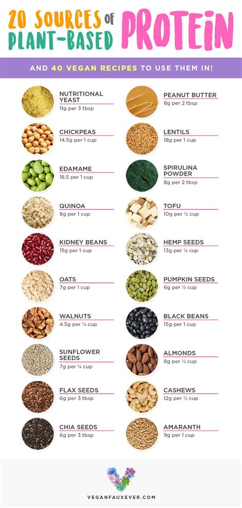 25 Best Vegan Protein Sources For Plant Based Diets Guide To Vegan Plant Based Diet Meal
