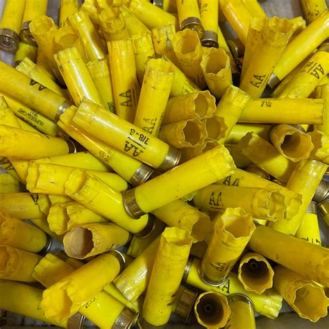 Winchester Aa Yellow Shotgun Shells 20 Gauge Hulls Empty Used Fired