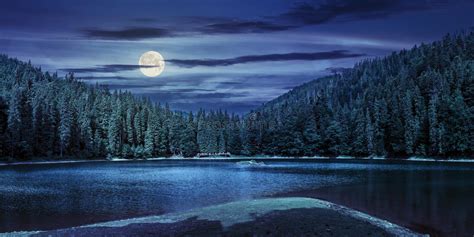 Lago Entre El Bosque En Montañas En La Noche Imagen De Archivo Imagen