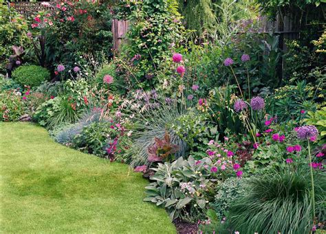 This Easy Care Garden Plan Obscures A Fence With Vibrant Plantings