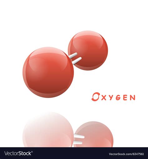Oxygen Molecule Icon Royalty Free Vector Image